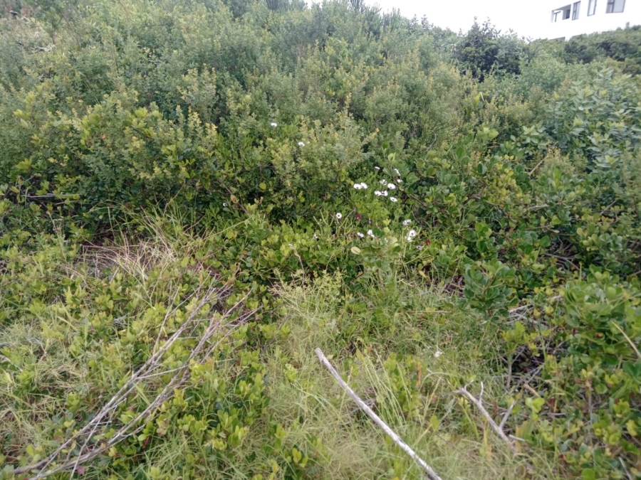 Commercial Property for Sale in Paradise Beach Eastern Cape